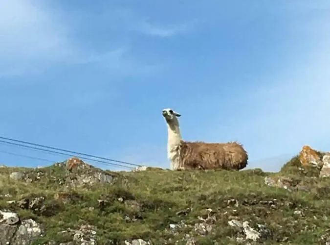 アパート La Mongie Plein Ciel *